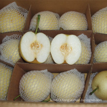 Chinese Golden Pear Good Quality and Price